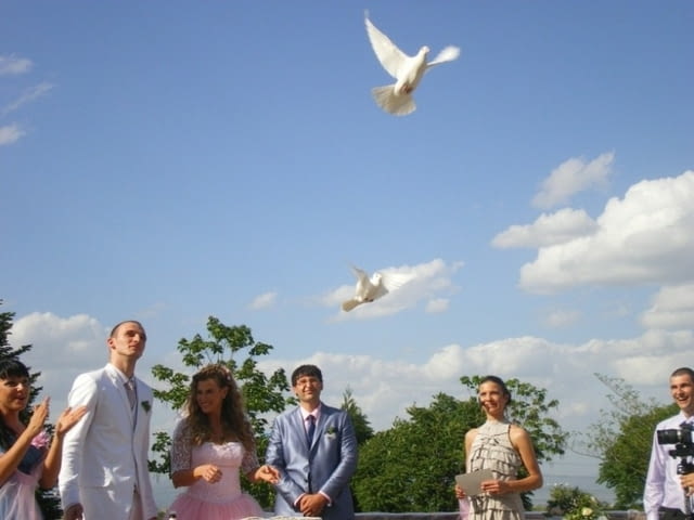Бели гълъби за вашата сватба или тържество - city of Pernik | Weddings - снимка 2