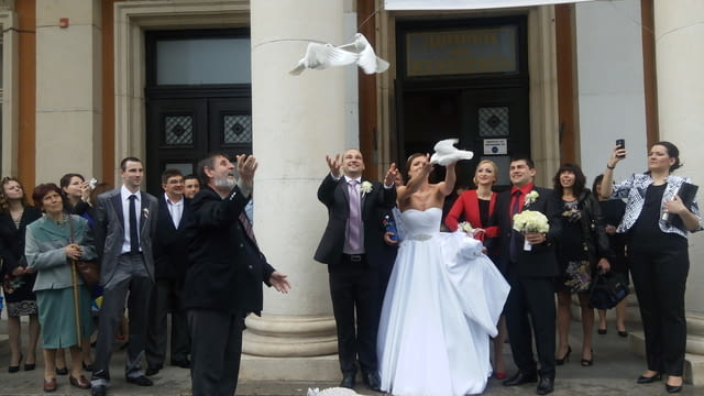 Бели гълъби за вашата сватба или тържество - city of Pernik | Weddings - снимка 4